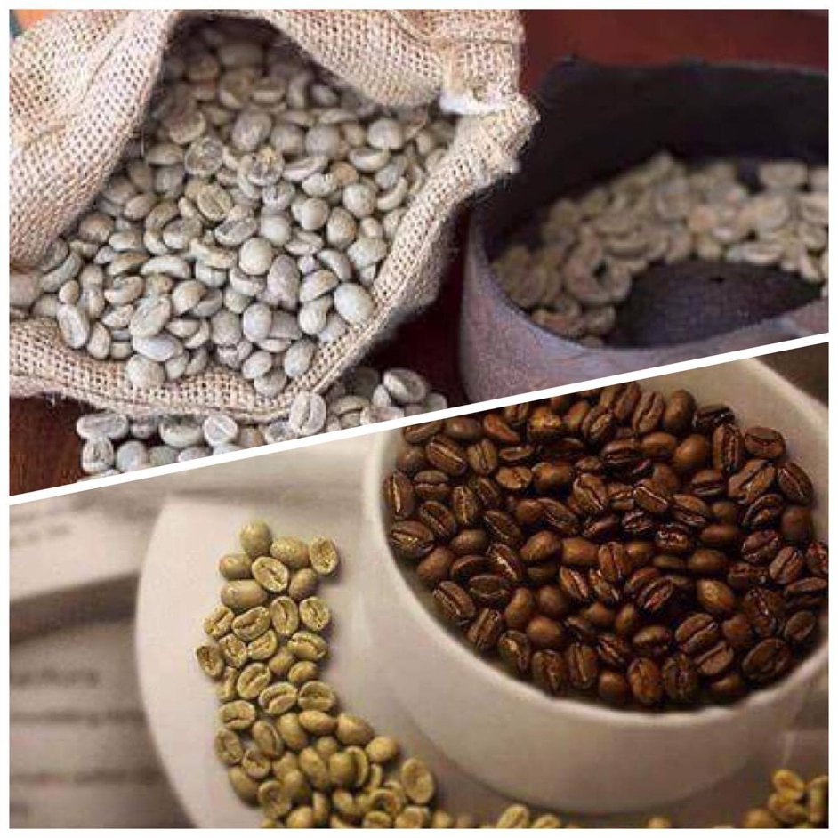 A coffee without caffeine? The journey of your Decaf - Café Liégeois Canada Inc.