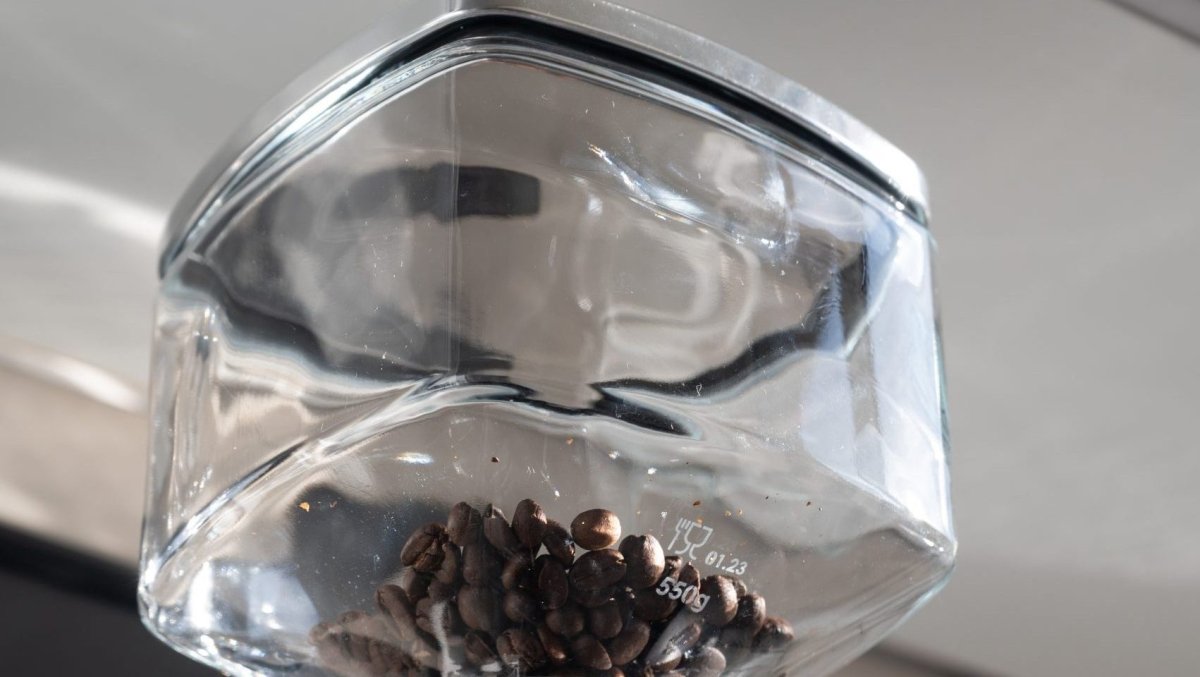 Eureka Mignon Glass Bean Hopper – 550 g - Café Liégeois Canada Inc.