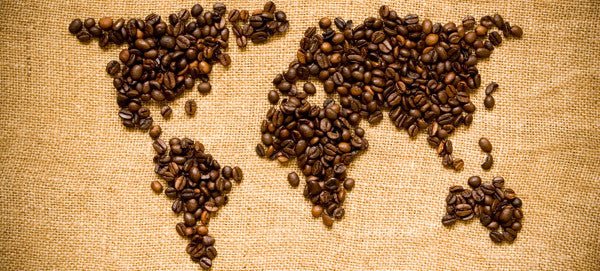 The coffee world in two words: Arabica & Robusta - Café Liégeois