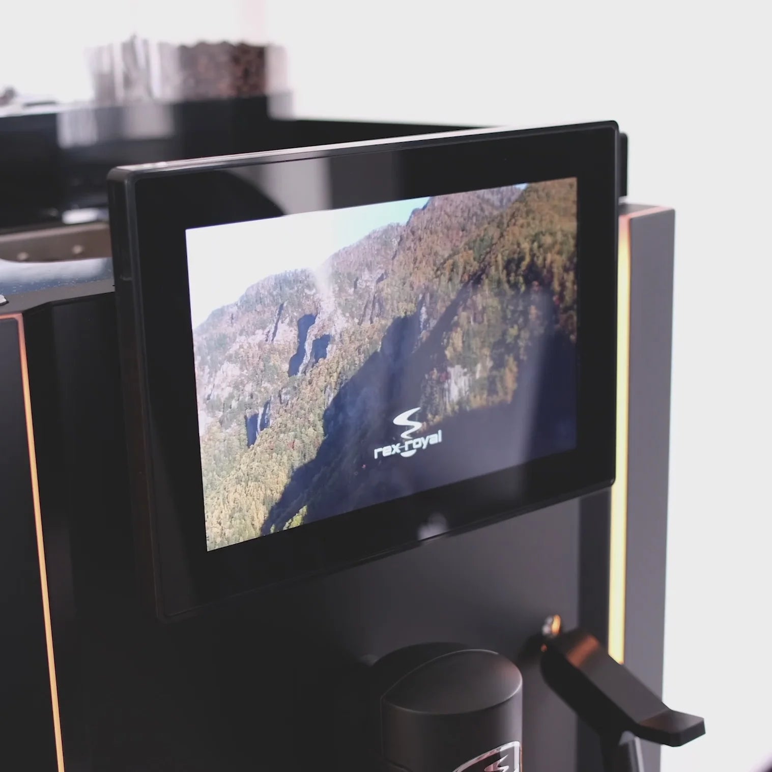 Rex-Royal - S300 Manual (CST)